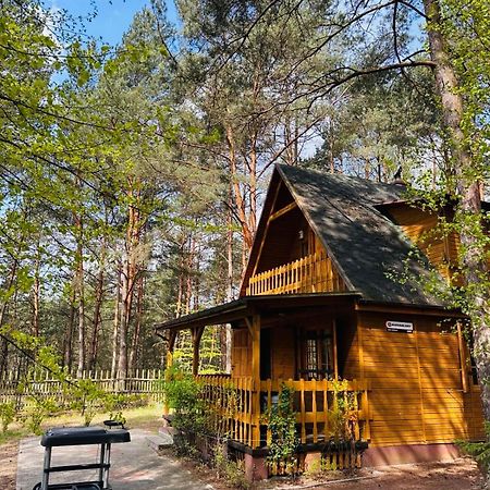 Lesniczowka Villa Rzadza Kültér fotó