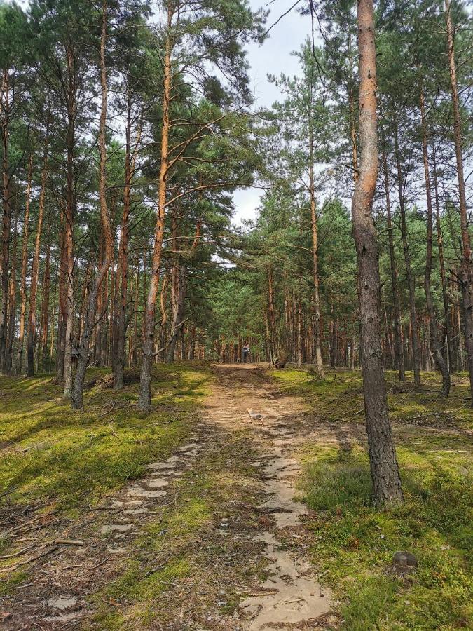 Lesniczowka Villa Rzadza Kültér fotó