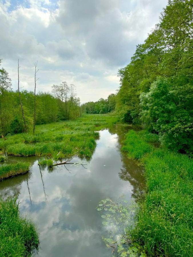 Lesniczowka Villa Rzadza Kültér fotó