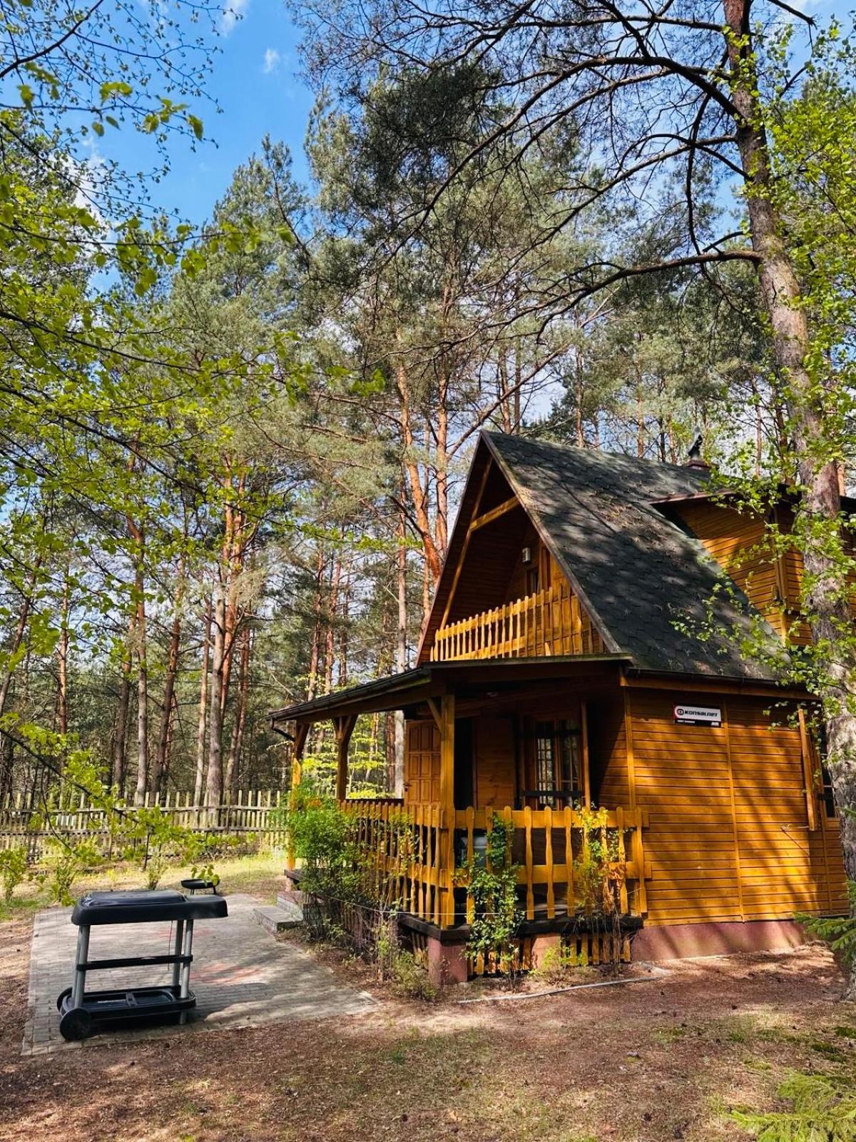 Lesniczowka Villa Rzadza Kültér fotó